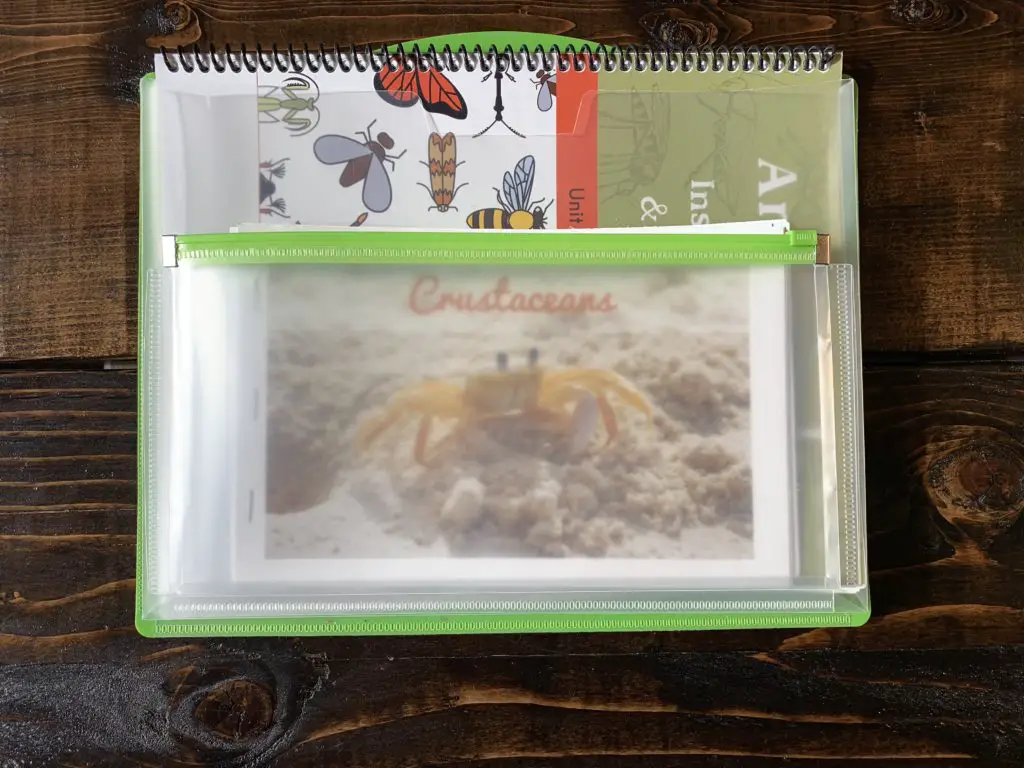 A filled storage pouch from our homeschool science curriculum